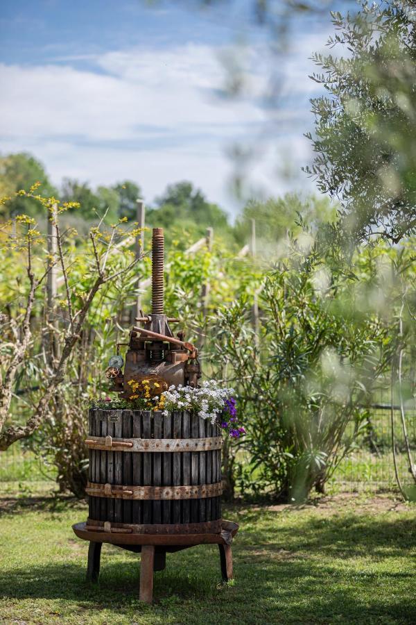 Bauernhof Borgo Di Calmasino Bardolino