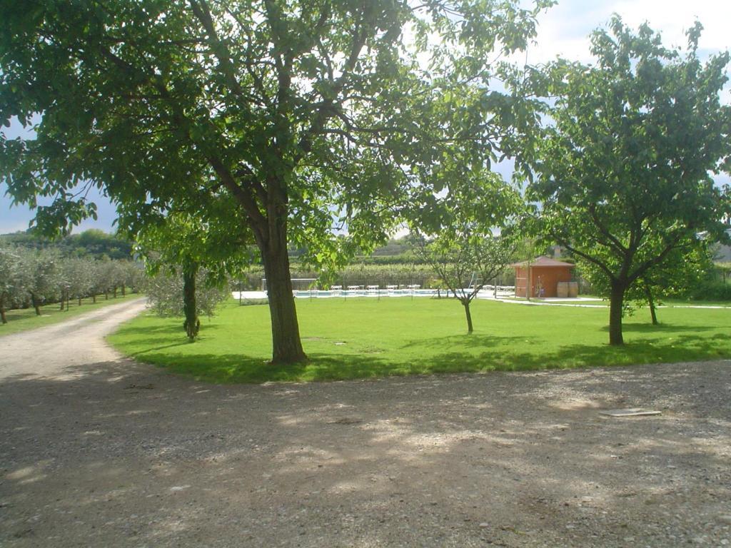 Bauernhof Borgo Di Calmasino Bardolino