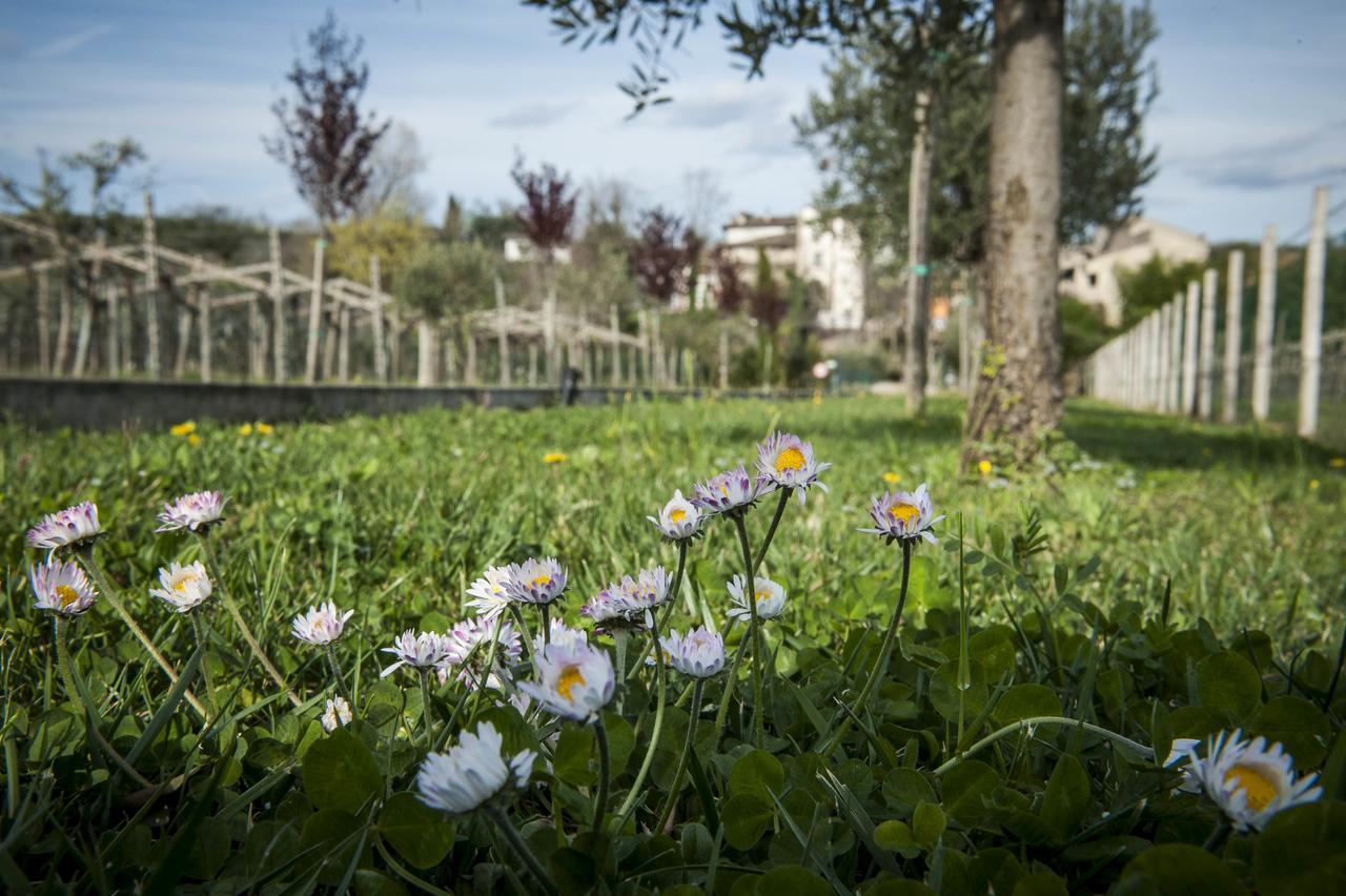 Borgo Di Calmasino *